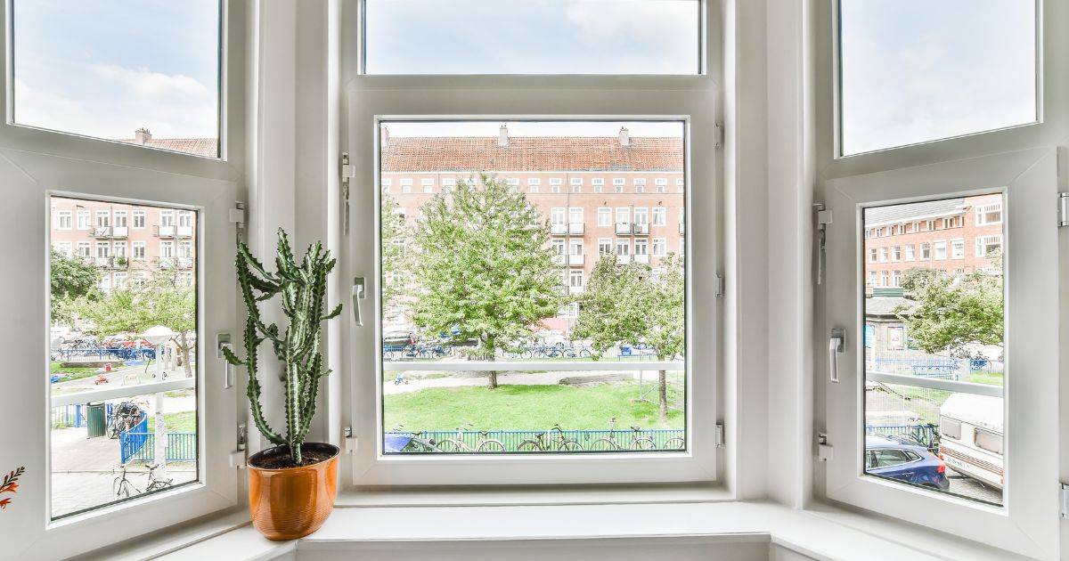 White-framed bay window with a potted cactus overlooking a cityscape