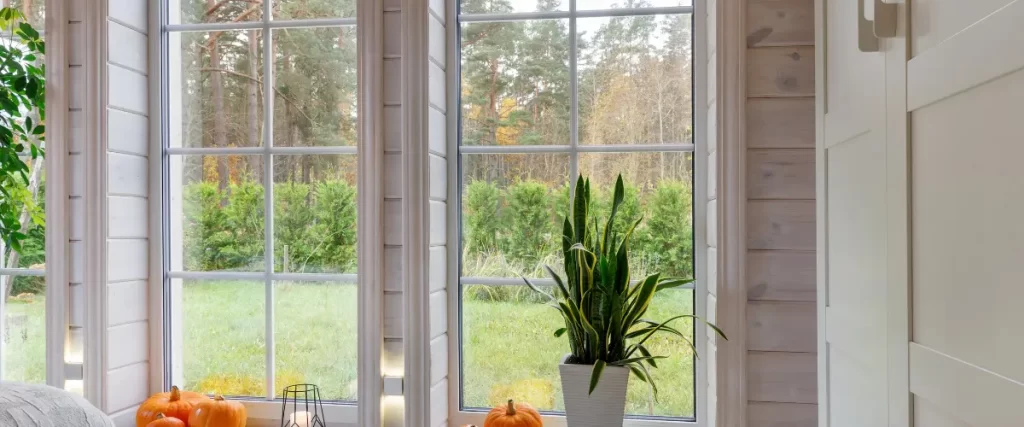 Cozy corner with a large window, green plant, and autumn decor