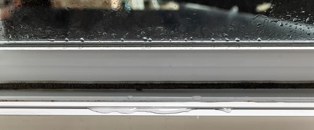 Condensation and water damage on interior window sill showing early signs of rot and seal failure.