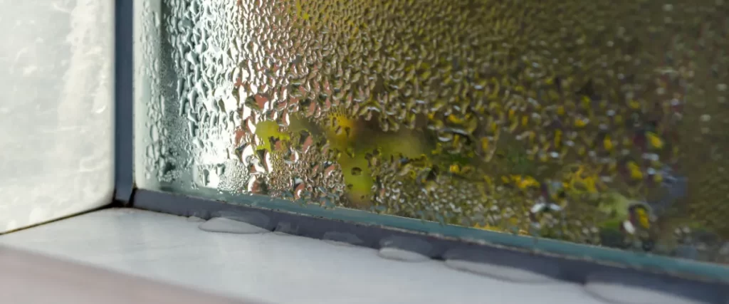 condensation on a windowpane